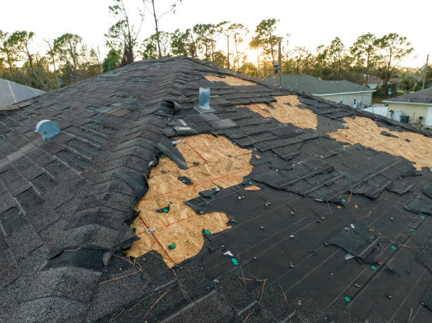 Best Skylight Installation and Repair  in Pearl River, MS